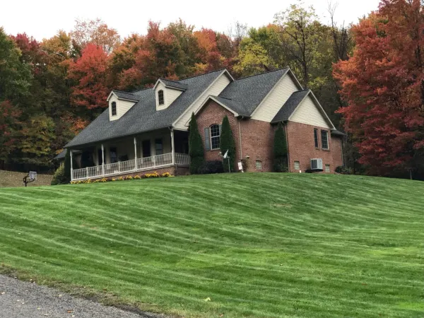 Gutter Cleaning Services